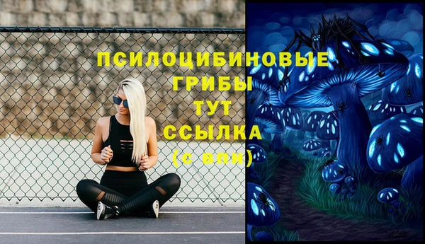 гидропоника Нефтегорск
