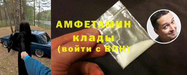прущие грибы Нея
