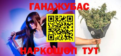 стафф Гатчина