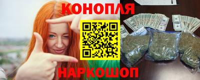 стафф Гатчина