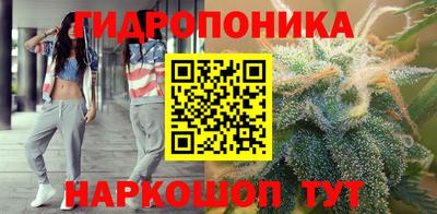 стафф Гатчина