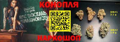 стафф Гатчина