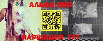 стафф Гатчина