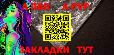 стафф Гатчина